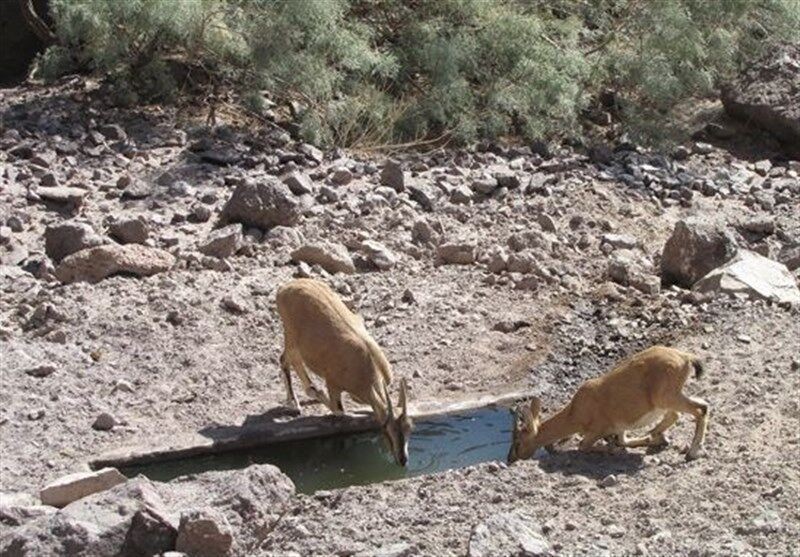 طبیعت قم؛ چشم به دستان خیرین