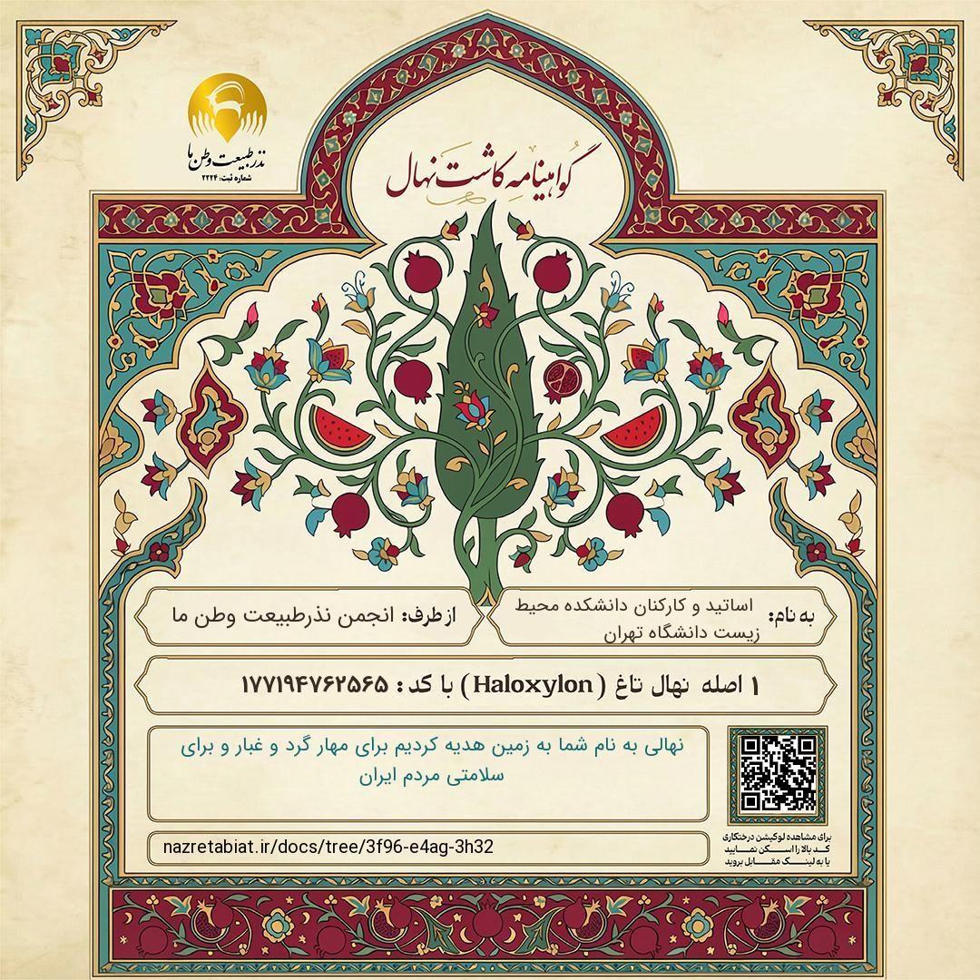 روز درختکاری؛ از یک نهال کوچک تا مسئولیتی بزرگ برای زمین