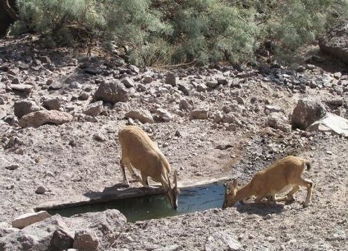 طبیعت قم؛ چشم به دستان خیرین