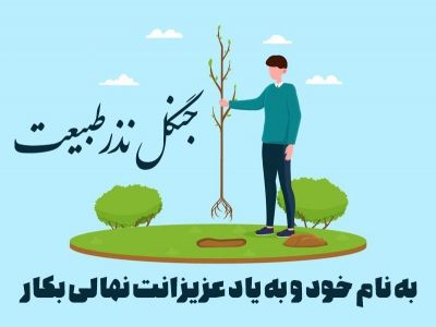 جنگل نذرطبیعت 1400