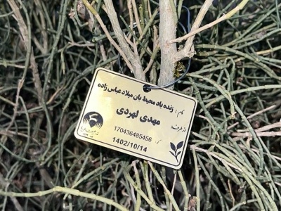 درختکاری ۱۴۰۴-١۴٠۵