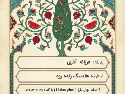 درختکاری ۱۴۰۴ یلدا