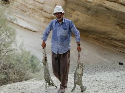 آب رسانی به حیات وحش هرمزگان
