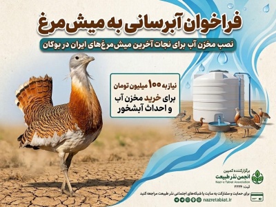 آبرسانی به میش مرغ