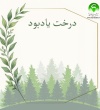 یادبود