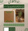 طرح کویر